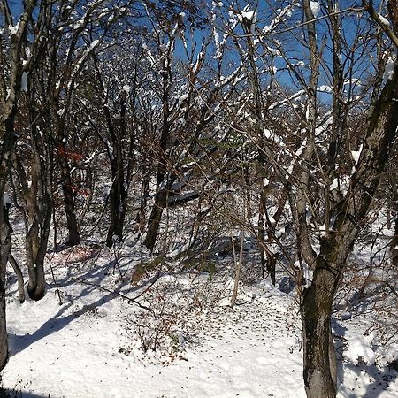 Myoko Kogen Pension Yamasan Extérieur photo
