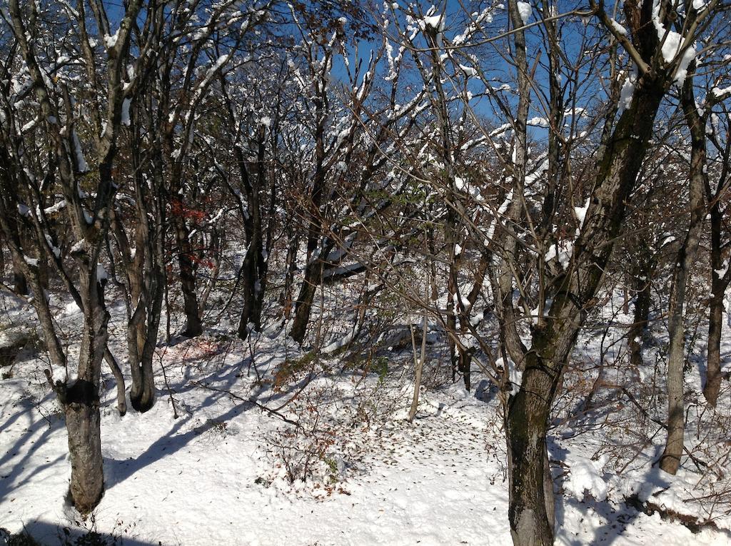 Myoko Kogen Pension Yamasan Extérieur photo