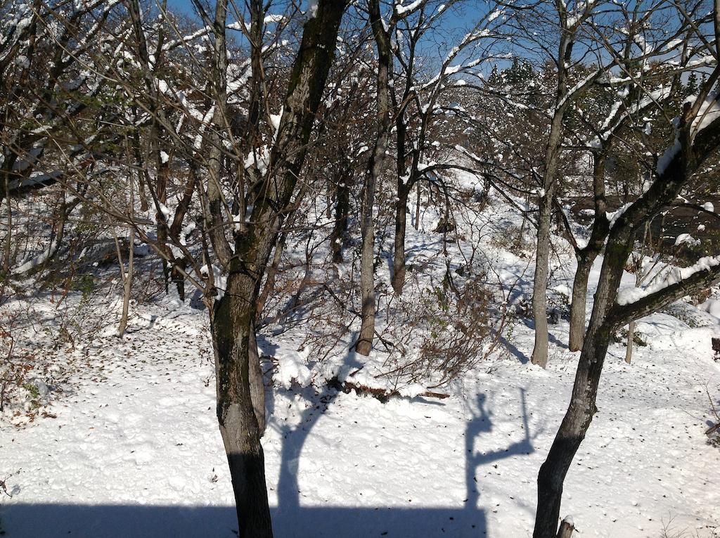 Myoko Kogen Pension Yamasan Extérieur photo